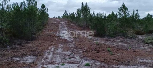 Terrain à Grandola, Portugal No. 44297 5