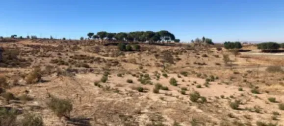  Land in Granada, Spain No. 181264 6