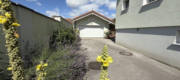 6-Zimmer Gewerbliche Immobilie in Winzendorf-Muthmannsdorf, Austria, Nr. 16460 4