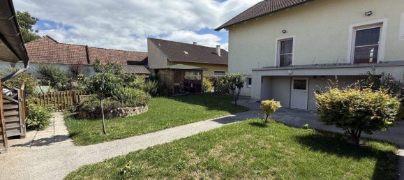 6-Zimmer Gewerbliche Immobilie in Winzendorf-Muthmannsdorf, Austria, Nr. 16460 10