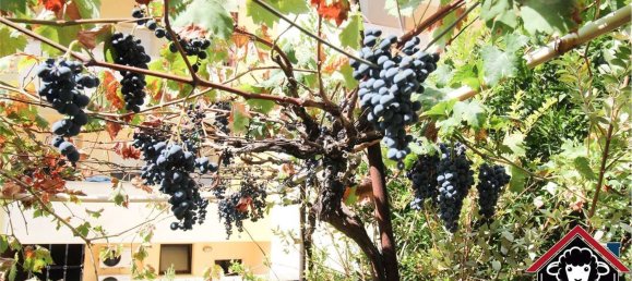 Casa de 11 dormitorios en Sinnai, Italy No. 355049 22