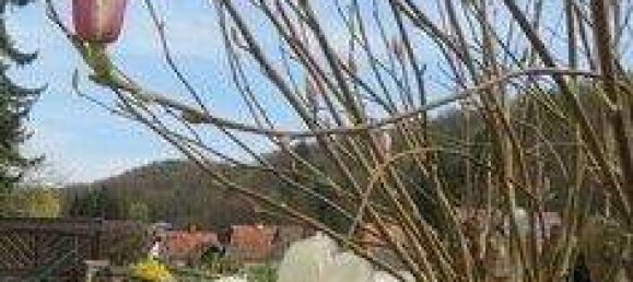 5-Zimmer Haus in Rosenburg-Mold, Austria, Nr. 143926 34