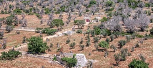 Земельный участок с 3 спальнями в Morciano di Leuca, Италия № 67128 4