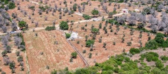 Земельный участок с 3 спальнями в Morciano di Leuca, Италия № 67128 5