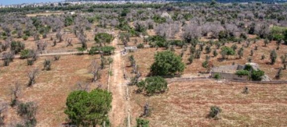 Земельный участок с 3 спальнями в Morciano di Leuca, Италия № 67128 7