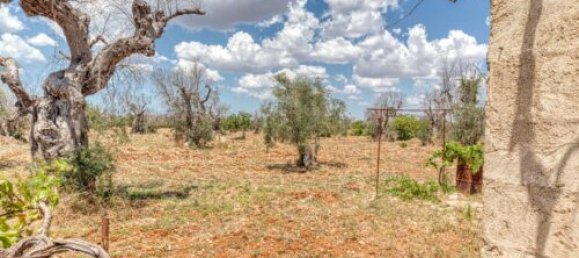 Земельный участок с 3 спальнями в Morciano di Leuca, Италия № 67128 12