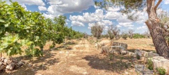 Земельный участок с 3 спальнями в Morciano di Leuca, Италия № 67128 10