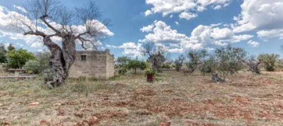 Земельный участок с 3 спальнями в Morciano di Leuca, Италия № 67128 14