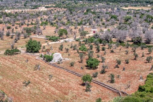 Земельный участок с 3 спальнями в Morciano di Leuca, Италия № 67128
