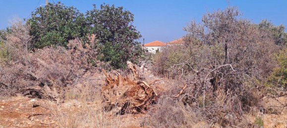 فندق في Chania, Greece 2598متر مربع رقم 8869 6