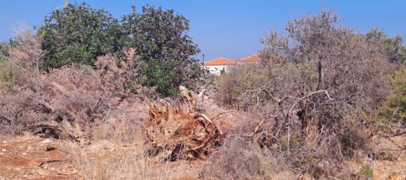 2598 m² terreno en venta en Chania, Crete, Greece № 8869 6