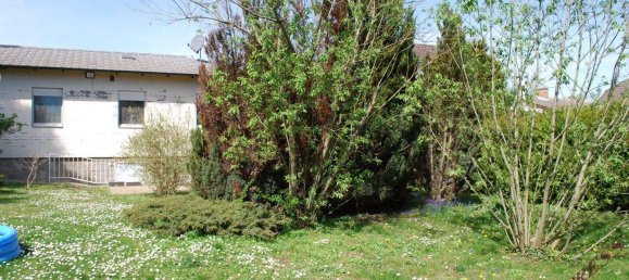 3 rooms Bungalow in Deutsch-Wagram, Austria No. 254749 16