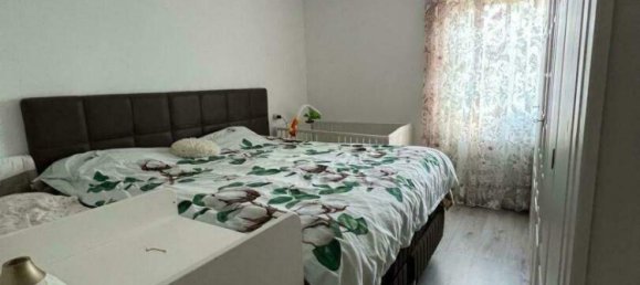 3 rooms Bungalow in Deutsch-Wagram, Austria No. 254749 6