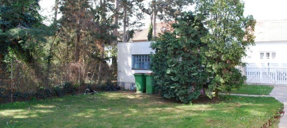 3 rooms Bungalow in Deutsch-Wagram, Austria No. 254749 15