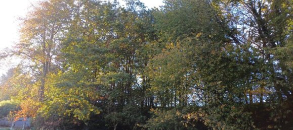  Land in Mehrnbach, Austria No. 130769 4