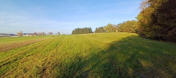  Land in Mehrnbach, Austria No. 130769 3