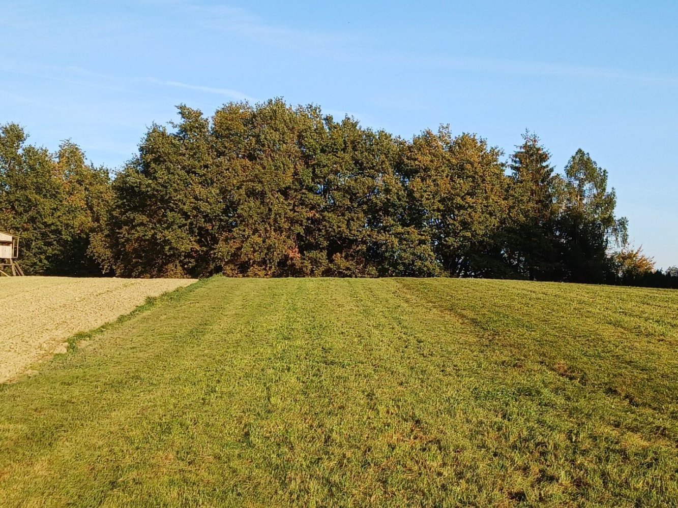 Land in Mehrnbach, Austria No. 130769