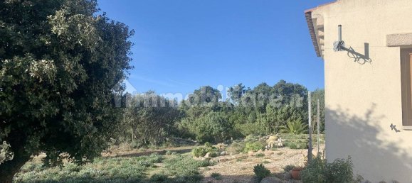 3 bedrooms Villa in Telti, Italy No. 60841 24