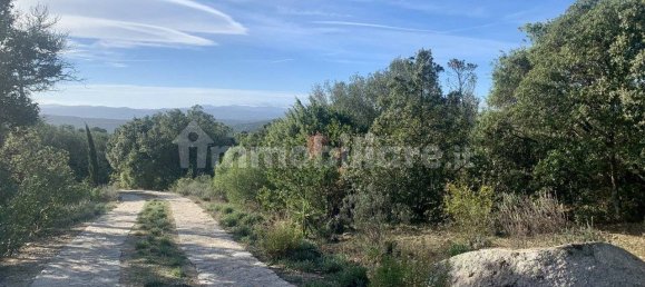 3 bedrooms Villa in Telti, Italy No. 60841 37