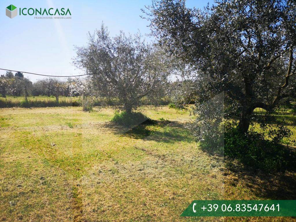 Terreno en Ciampino, Italy 6000 m² No. 20738