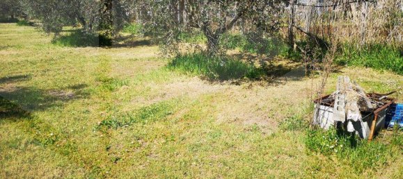 Terreno en Ciampino, Italy 6000 m² No. 20738 9