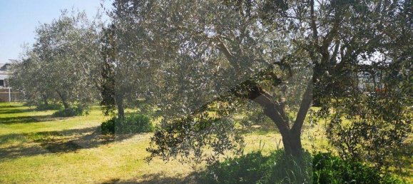 Terreno en Ciampino, Italy 6000 m² No. 20738 6