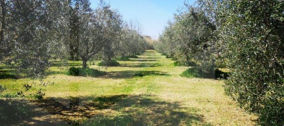 Terreno en Ciampino, Italy 6000 m² No. 20738 8