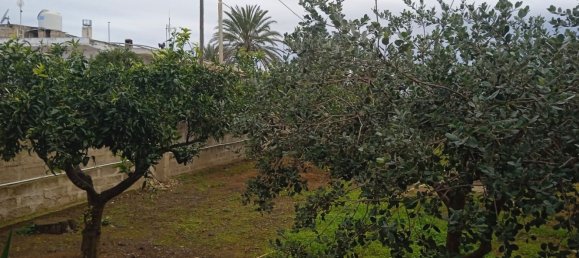 7-salle Villa à Vittoria, Italy No. 296005 4