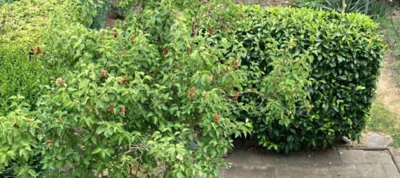 1 غرف نوم شقة في Rhein-Sieg, Germany رقم 236980 7