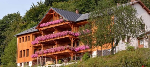 25 rooms House in Strasbourg, France No. 60356 23