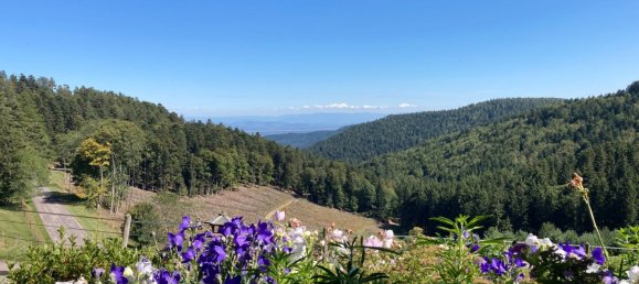 25 rooms House in Strasbourg, France No. 60356 3