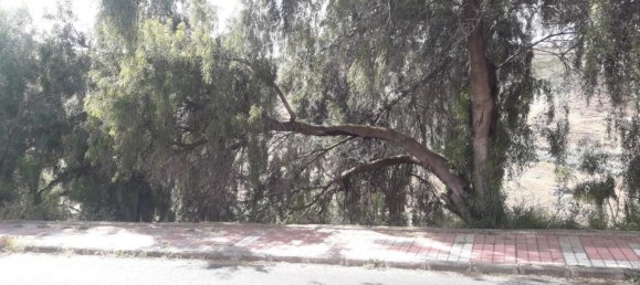 671m² Land in Las Palmas De Gran Canaria, Spain No. 101449 12