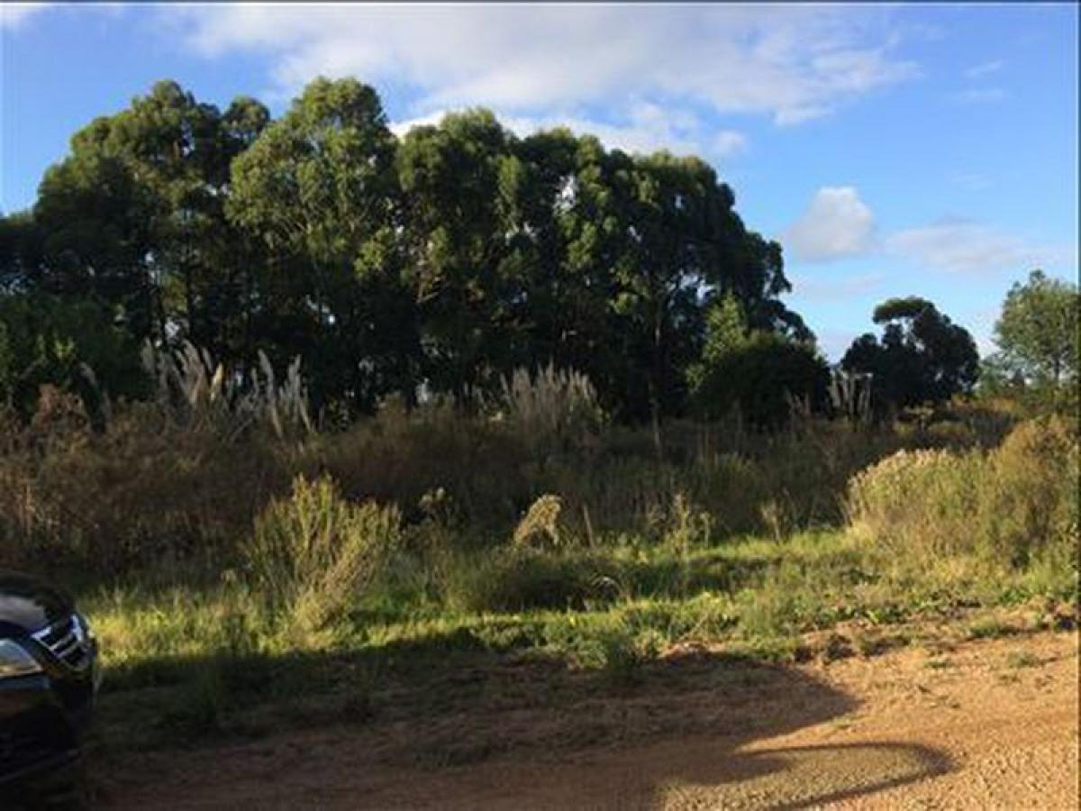  Farm in Maldonado, Uruguay No. 15717