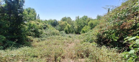 4 bedrooms House in Tarn, France No. 337260 10