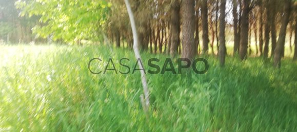 Terreno em Maceda, Portugal N.º 190442 2