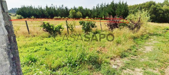Terreno em Maceda, Portugal N.º 190442 5