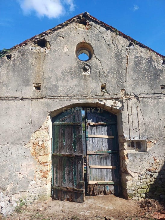 150m² Commercial property in Santarem, Portugal No. 230644