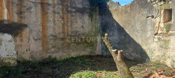 Gewerbliche Immobilie in Santarem, Portugal 150m², Nr. 230644 4