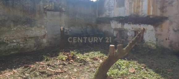 Gewerbliche Immobilie in Santarem, Portugal 150m², Nr. 230644 5