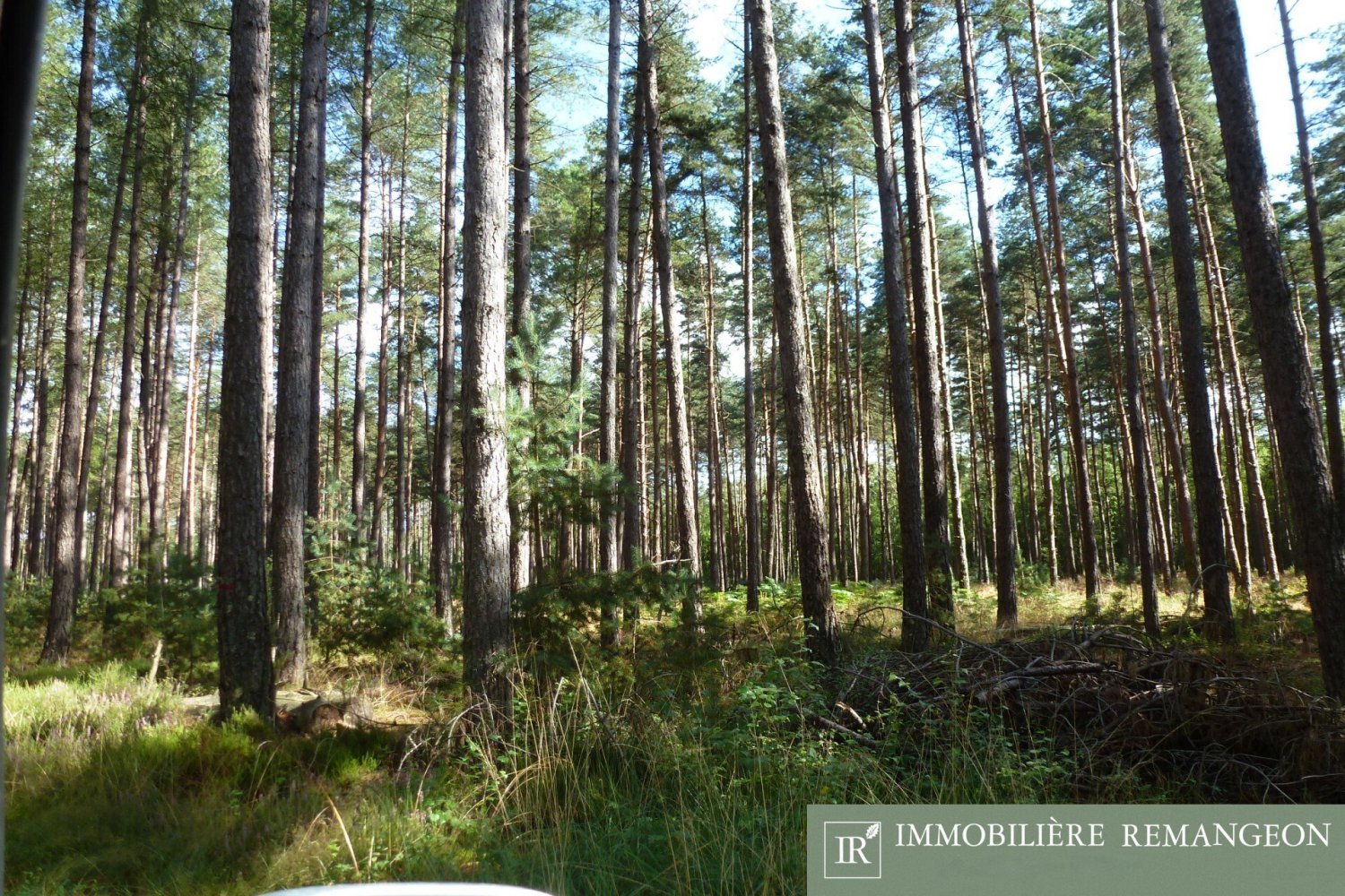 Casa T5 em Lamotte-Beuvron, France N.º 87678