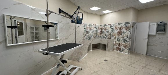 67m² Commercial property in Rome, Italy No. 327634 5