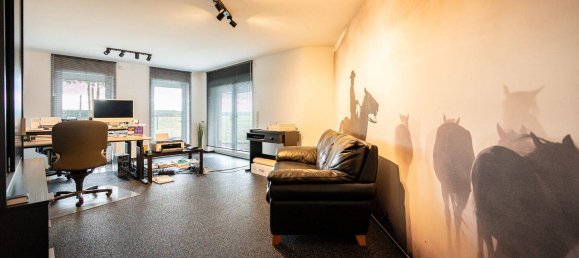 Коммерческая недвижимость с 5 спальнями в Хайнсберг, Германия № 354801 39