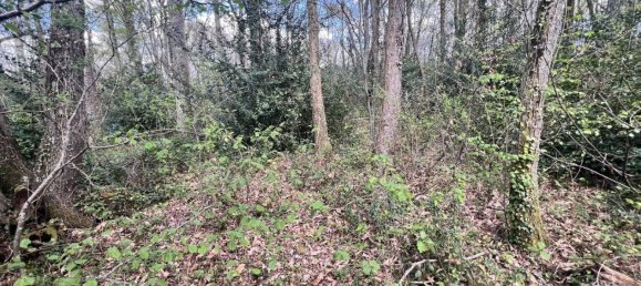  Land in Clarens, France No. 91445 8