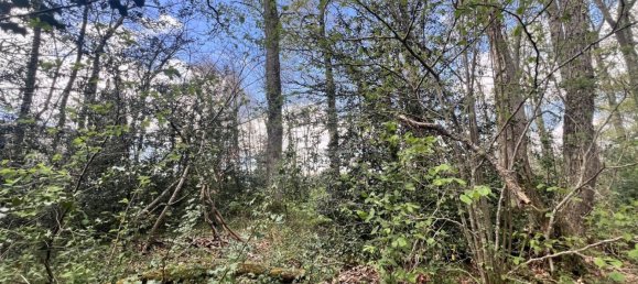  Land in Clarens, France No. 91445 6