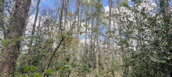  Land in Clarens, France No. 91445 7