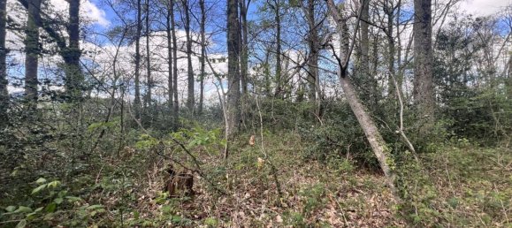  Land in Clarens, France No. 91445 4