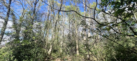  Land in Clarens, France No. 91445 3