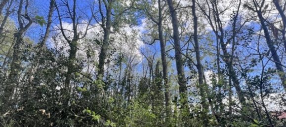  Land in Clarens, France No. 91445 2