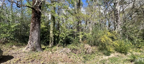  Land in Clarens, France No. 91445 9