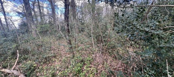  Land in Clarens, France No. 91445 5